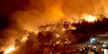Turkey wildfires: At least 17 killed as thousands flee their homes | World News