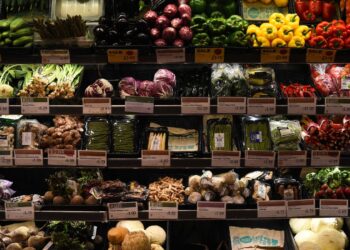 Government funding for state-subsidised restaurants, fruit and veg vouchers and mobile greengrocer to help deprived households | UK News