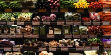 Government funding for state-subsidised restaurants, fruit and veg vouchers and mobile greengrocer to help deprived households | UK News