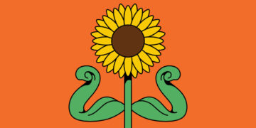 The truth about seed oils