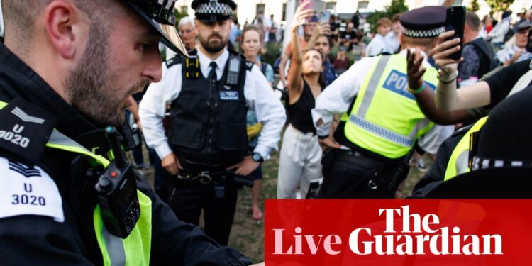 Palestine Action is a ‘violent organisation’, Downing Street says after mass arrests over the weekend – UK politics live | Politics