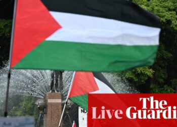 Australia news live: major traffic delays expected from pro-Palestine protest across Sydney Harbour Bridge; Labor MP Ed Husic to march | Australia news