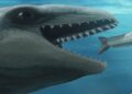 Paleontologists ID Ancient Whale That Resembles A Pokémon