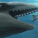 Paleontologists ID Ancient Whale That Resembles A Pokémon