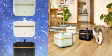 This Vet-Recommended Pet Accessory Doubles As Home Decor