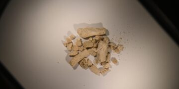 75,000-Year-Old Lost World of Arctic Animals Uncovered in Norwegian Cave