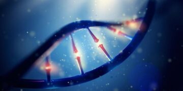 Ancient DNA Solves Mystery of Hungarian, Finnish Language Family’s Origins