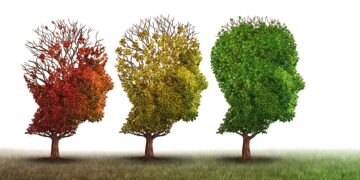 Blocking This One Protein Restores Aging Brains