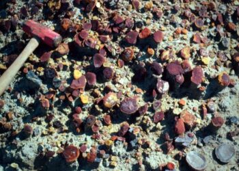 Scientists Unveil Secrets of Extraordinary 300-Million-Year-Old Fossil Site in Illinois