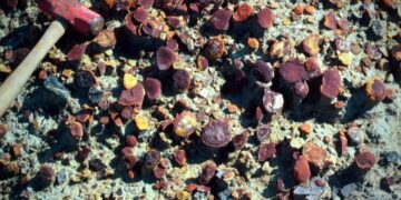 Scientists Unveil Secrets of Extraordinary 300-Million-Year-Old Fossil Site in Illinois