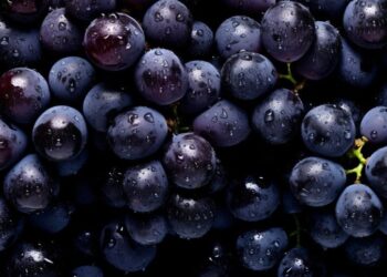 New Study Reveals This Popular Fruit Is Actually a “Superfood”