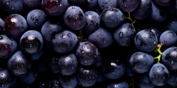 New Study Reveals This Popular Fruit Is Actually a “Superfood”