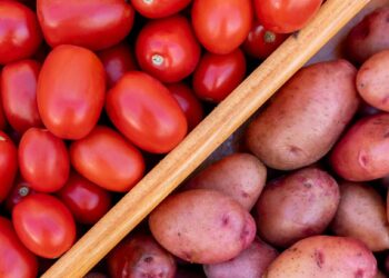 Science Reveals the Surprising Origins of the Potato