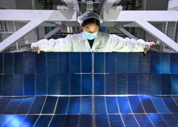 Trump Halts Wind Project as U.S., China Diverge on Clean Energy, Renewables