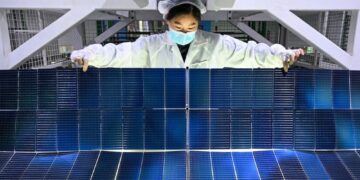 Trump Halts Wind Project as U.S., China Diverge on Clean Energy, Renewables