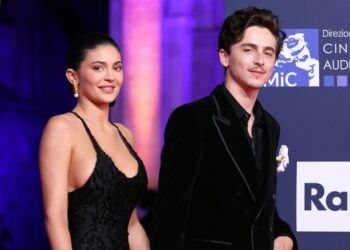 Where Kylie Jenner Timothée Chalamet Stand After Her 28th Birthday
