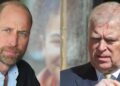 Prince William’s Plan To Deal With Prince Andrew