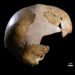 The World’s First Human Hybrid? Ancient Fossil Stuns Scientists