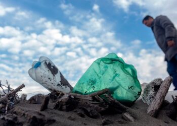 Central American Beaches Are Being Overrun With Local and Foreign Plastic