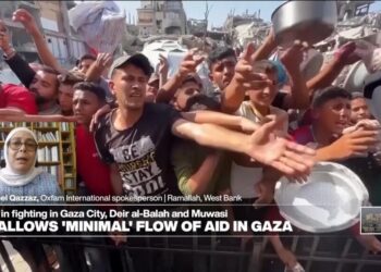 Gaza: 'It's an engineered starvation campaign against civilians, women and children' (Oxfam)