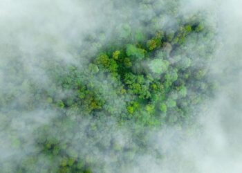 Earth’s climate is approaching irreversible tipping points