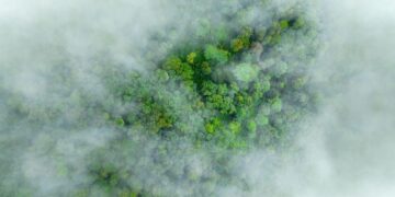 Earth’s climate is approaching irreversible tipping points