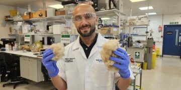 Toothpaste made with hair naturally repairs tooth enamel, scientists discover | Science, Climate & Tech News