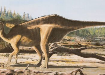 New dinosaur named after record-breaking yachtswoman | Science, Climate & Tech News