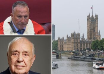 House of Lords under fire for dropping rule that once caught out cricket legend and historian | Politics News