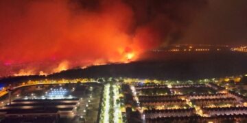 Thousands evacuated as deadly wildfires sweep Europe | World News
