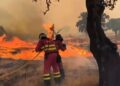 Millions of people threatened by wildfires near their homes, research finds | Science, Climate & Tech News