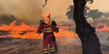 Millions of people threatened by wildfires near their homes, research finds | Science, Climate & Tech News