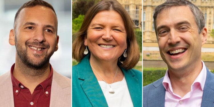 Who are the Green Party’s leadership hopefuls? | Politics News