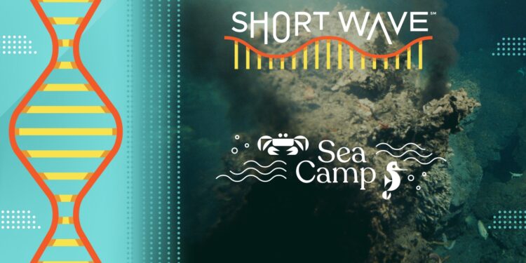 Did life start on the ocean floor — and what does that mean for alien life? : Short Wave : NPR