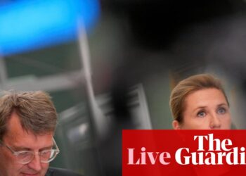Denmark to buy long-range precision weapons as PM warns ‘Russia is testing us’ – Europe live | Germany