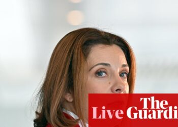 Australia politics live: Wells flags new restrictions on ‘nudify’ deepfake apps; Butler claims not to know latest migration figures | Australia news