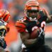 Rudi Johnson, Bengals’ Record-Breaking Rusher, Dies At 45