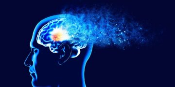 New Research Overturns Decades of Thinking on Fat’s Role in Alzheimer’s