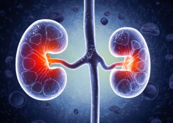 Scientists Find Kidney-Saving microRNA in a World-First Discovery