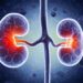 Scientists Find Kidney-Saving microRNA in a World-First Discovery