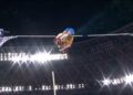 Pole vaulter Armand Duplantis clears 6.30 meters to set world record