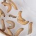 Hungry Worms Could Help Solve Plastic Pollution
