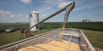 Trump Tariffs, Immigration Crackdown Hurt U.S. Farmers