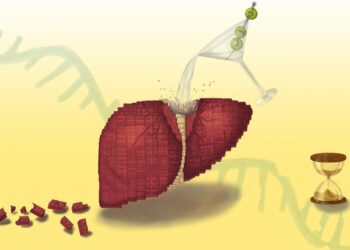 Scientists Discover Why Alcohol Blocks Liver Regeneration, Even After You Quit