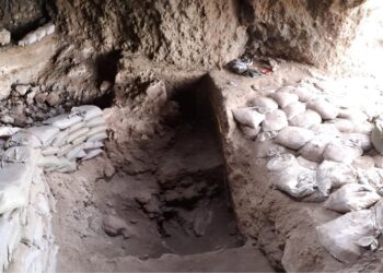 9,200-Year-Old Cave Find Challenges Theories on Farming’s Origins