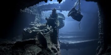 Thriving Ecosystems Discovered on WWII Warheads