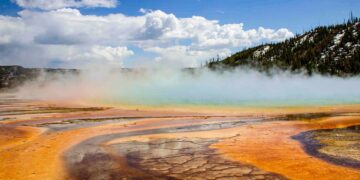 These Newly Discovered Cells Breathe in Two Ways