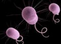 ‘Nightmare bacteria’ cases rising in the US | Science, Climate & Tech News