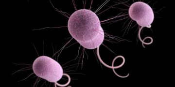 ‘Nightmare bacteria’ cases rising in the US | Science, Climate & Tech News