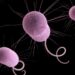 ‘Nightmare bacteria’ cases rising in the US | Science, Climate & Tech News